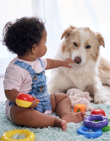 6 tips for introducing your baby to your pet