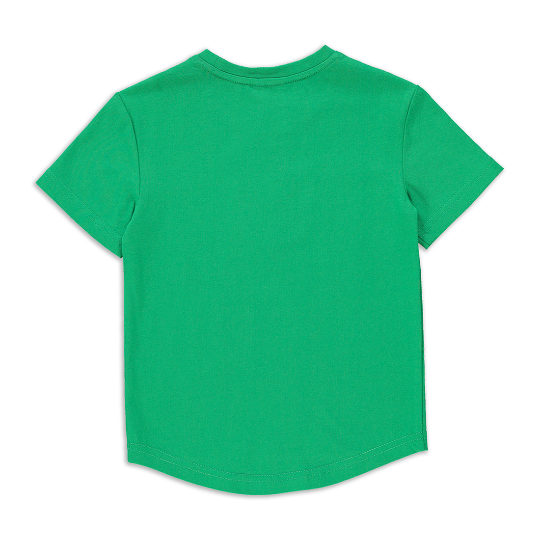 Hulk flock applique t-shirt green-GREEN-2-3 YRS