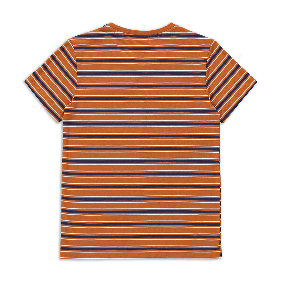 Crew neck horizonal stripe  printed t-shirt ochre-MULTI-7-8 YRS