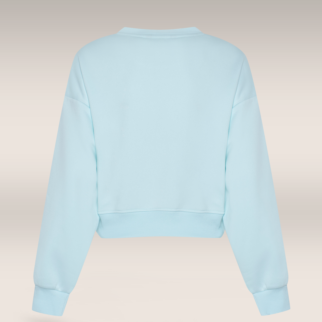 Blue Cropped crew neck fashion sweat top-LIGHT BLUE-M