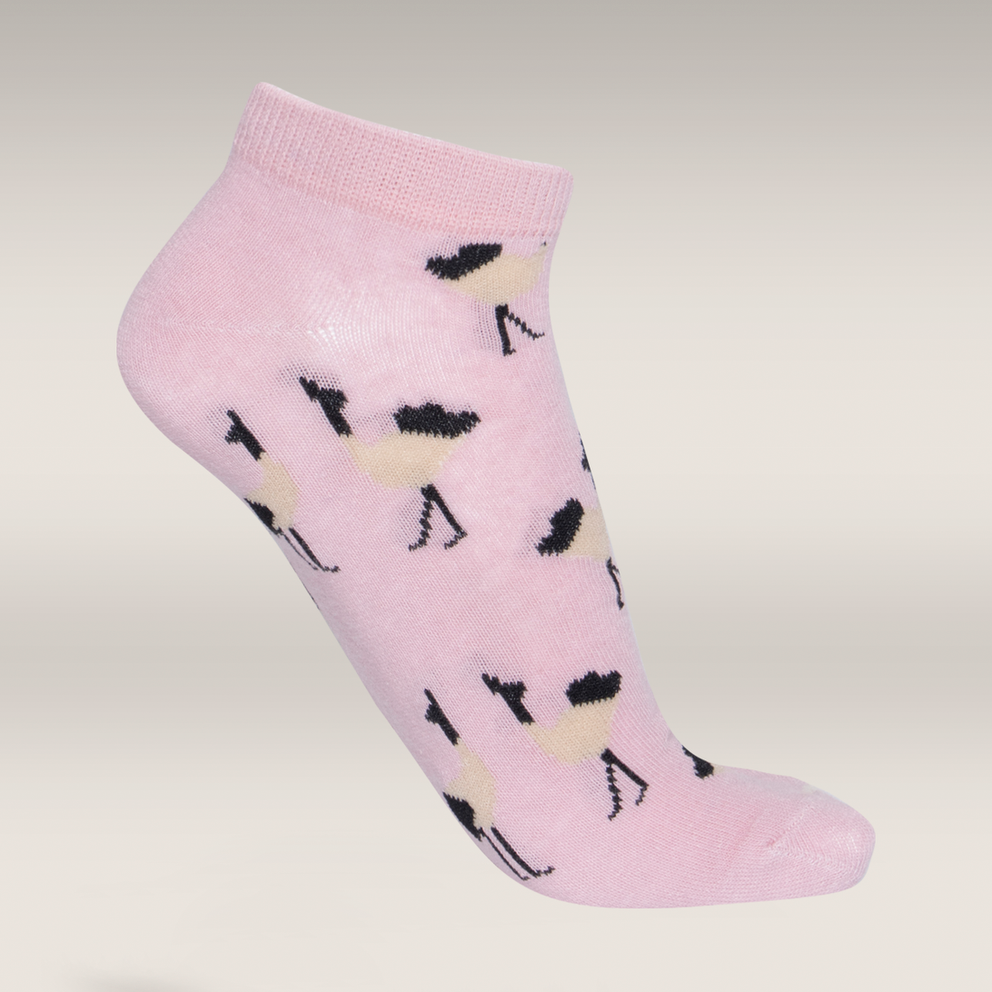 5 Pack lowcut socks pink bird-ASSORTED-4-7